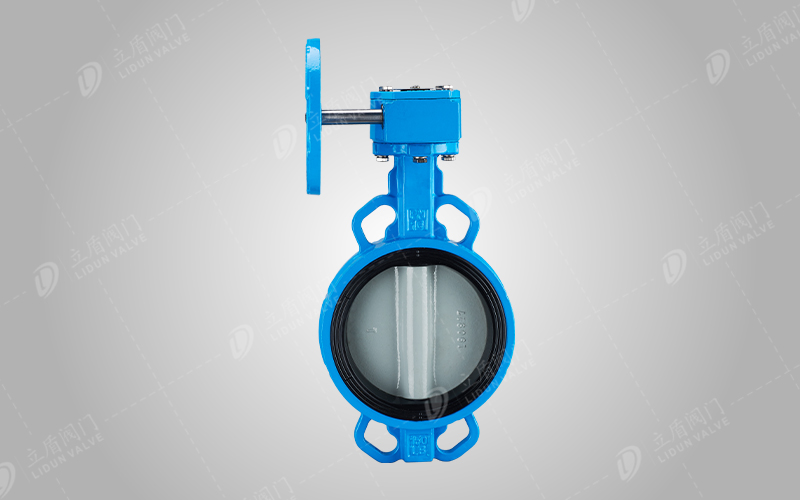 對夾中線蝶閥（蝸輪）